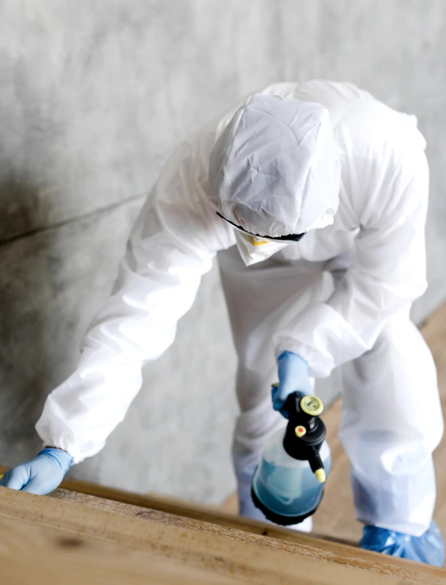 Cockroach pest control service